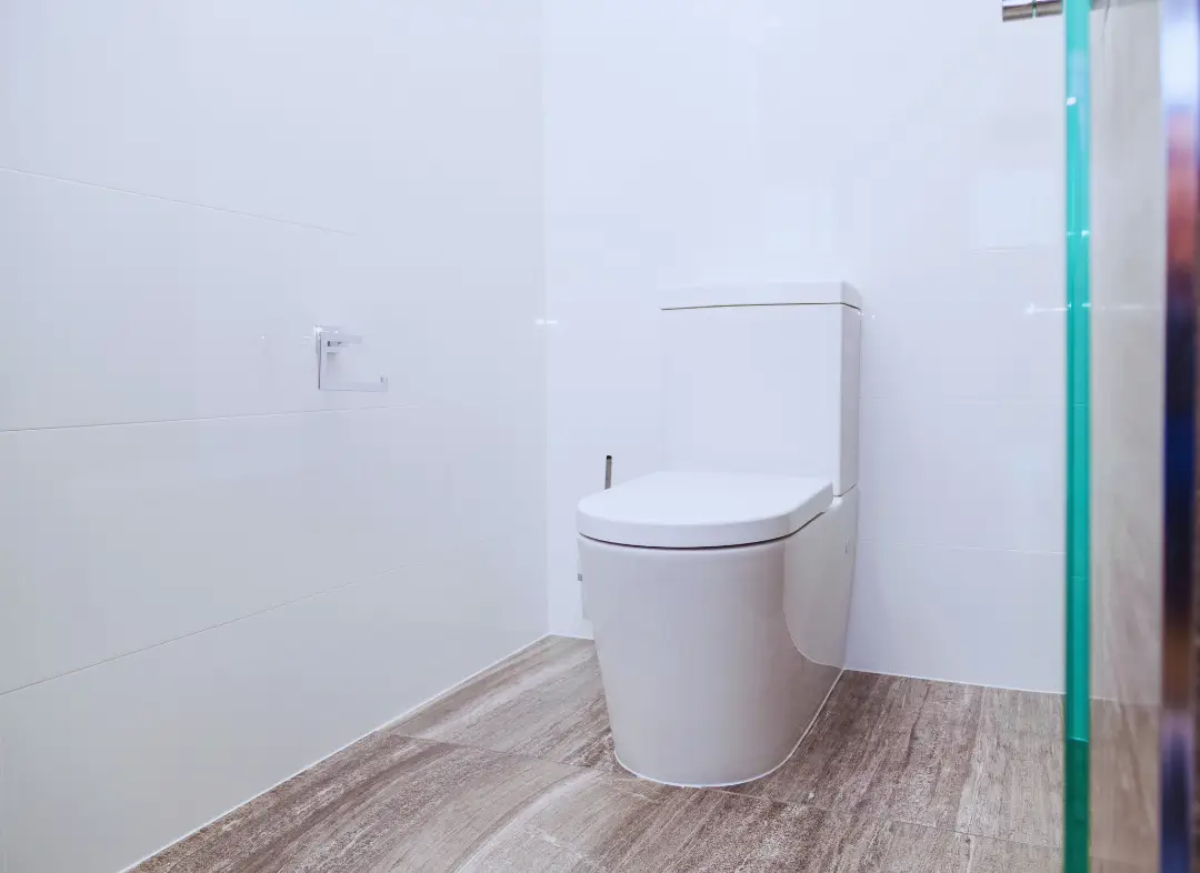 Remplacement de wc Bouaye